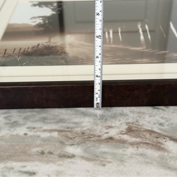 Sepia Tree Landscape Print Framed Glass Art - Wall Decor - Picture 11 of 16